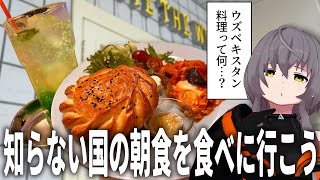 【新宿Vlog】早起きしたので知らない国の料理を食べに行こう【ウズベキスタン料理】