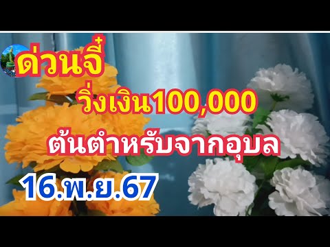 ด่วนจี๋เลขวิ่งเงิน100,000ตัวเด