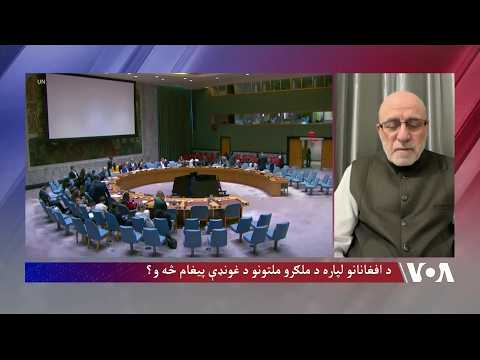 داودزی: افغانستان کې د زاړه فکر حاکمانو افغانستان منزوي کړی
