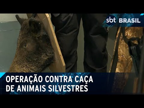 Ao menos seis pessoas são presas numa operação contra caça ilegal | SBT Brasil (17/04/24)