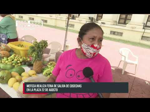 Feria de salida de cosecha en plaza 22 de agosto - Nicaragua