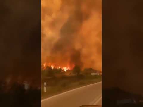 Incendios en Grecia han arrasado con 43 mil hectáreas- Telemedellín