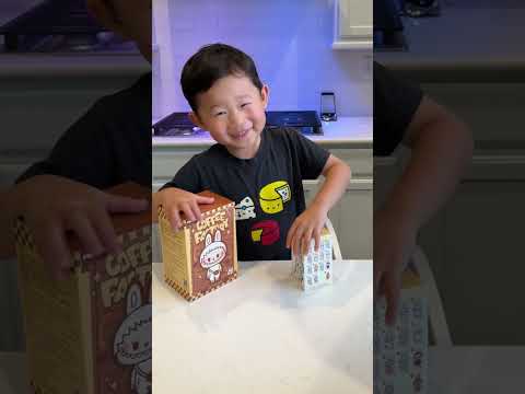 Princess Labubu or Barista Labubu?