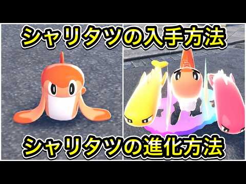 【ポケモンZA】シャリタツの入手方法!メガシャリタツへの進化方法!