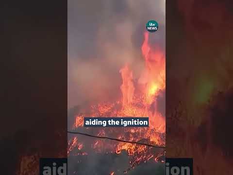 South California wildfires: Explained