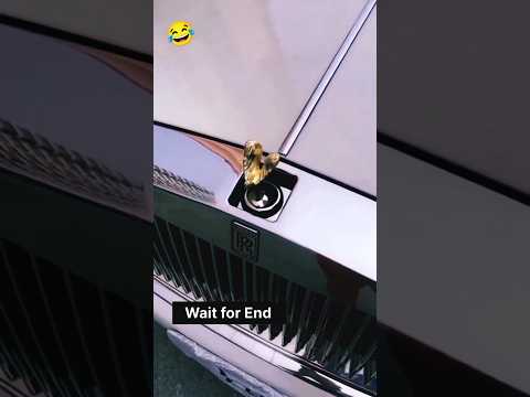 الفرق بالسيارات بيننا وبين الاجانب😄😀 #funny #funnyy #comedy #comedyyy #automobile