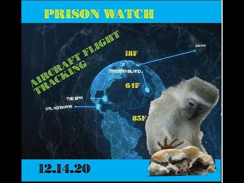 Monkey Werx Overwatch SITREP 12.14.20