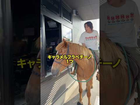 馬に乗ってドライブスルー行ってみた🤣