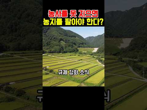 농사를 못 지으면 농지를 팔아야 한다? #착한부동산