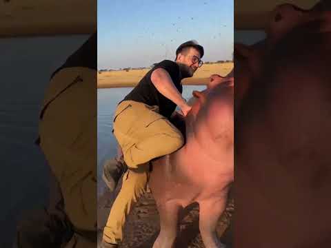 Safari adventure 🤣 #ai #safari #funny #comedy #shorts #ytshorts #aiartcommunity