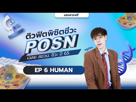 เฉลยสอวนชีวะปี65EP06Human