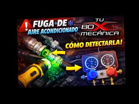 Tu box mecanica