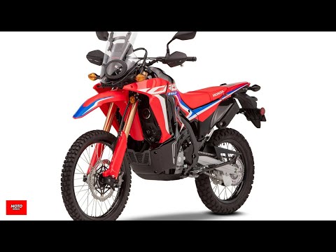 MOTO Specs ปรับมาใหม่HondaCRF250Rally2025เตรียมรับแรงกระแทก!