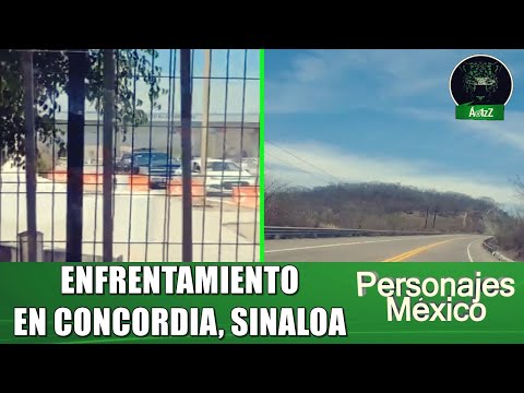 Despliegan operativo de Sedena y policías en Concordia, Sinaloa, tras enfrentamiento