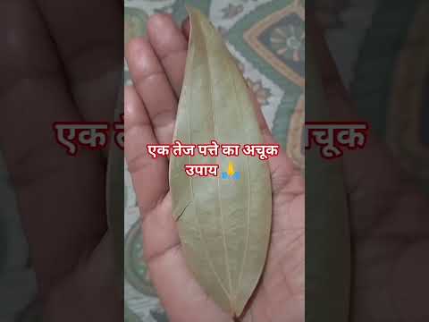 #एक तेज पत्ते काअचूक उपाय 🙏 #motivation #astrovichar #facts #upay #jyotishvidhya