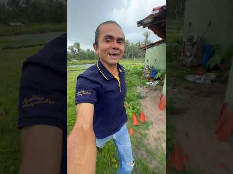 Eita alegria #sitiolagoverde