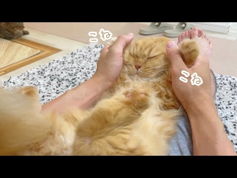 猫を娘のように育てたら、人間の赤ちゃんみたいになりました