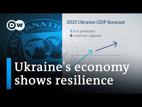 What's keeping Ukraine's economy going? | DW Business