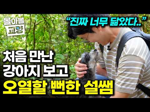 처음 본 강아지한테 뽀뽀까지 한 설쌤. 무지개다리 건넌 설쌤의 첫 반려견과 똑 닮은 개 #몰아볼교양