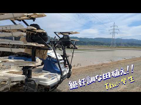 早生品種１４町の田植え終わり！ゴールデンウィーク突入へ！