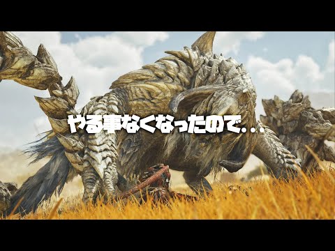 モンハンワイルズでやる事なくなったので...【モンスターハンターライズ】【MHRise】【Steam版】