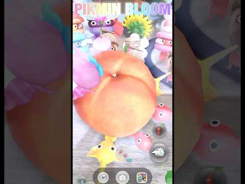 桃Gets 🍑ありがとう🩷 #pikmin #pikminbloom #ピクミン  #桃 #peach
