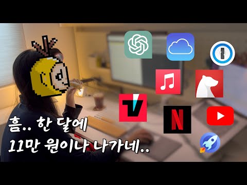 2025 어느 개발자 부부의 (절대 못 끊는) 월간 구독 9선 소개 💸💳