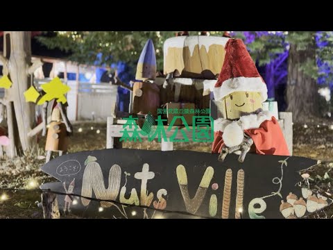 スターライトイルミネーション