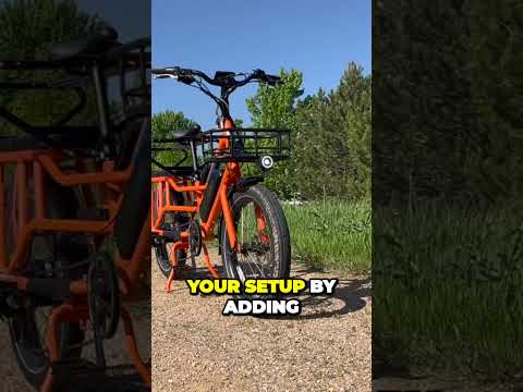 Unleash Your Adventure with the Ultimate Family E-Bike: RADWAGON 4!