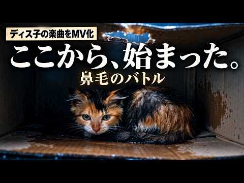 鼻毛の歌なのに、ディス子と家族の物語になりました。【MV】