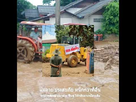 พระเอกพรรคเพื่อไทยนิธิกรวุฒิ