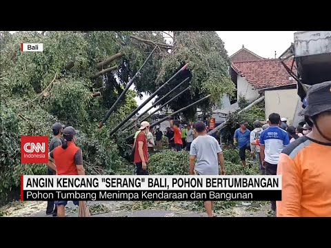 Angin Kencang Serang Bali, Pohon Bertumbangan