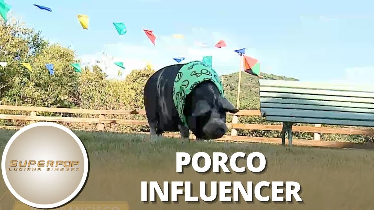 Tutor de cachorrinha influencer se emociona Fui criado em uma família que não gosta de pet