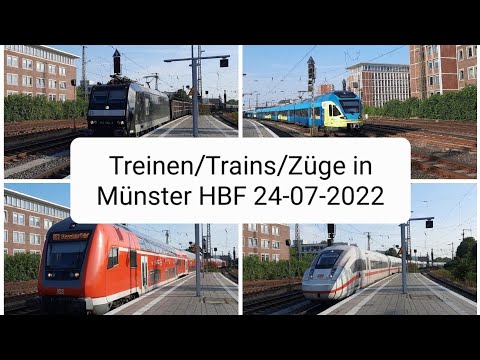 Treinen/Trains/Züge in Münster HBF 24-07-2022