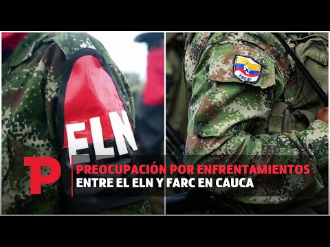 Preocupación por enfrentamientos entre el ELN Y FARC en Cauca I29.11.2023I TP Noticias