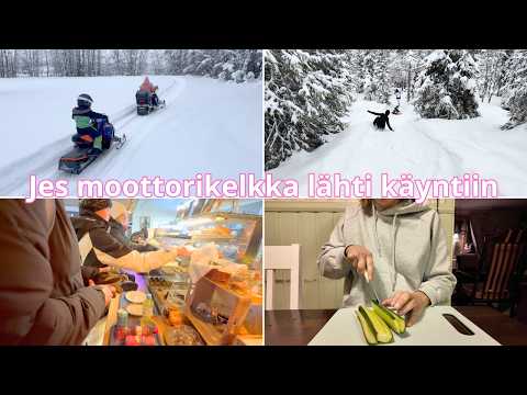 Pikku nätti kävelylenkki perheen iloksi 😂  | YLLÄS DAY 4