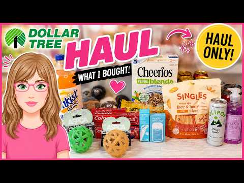Awesome DOLLAR TREE FINDS! | York, PA | July 11, 2026