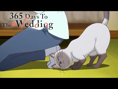 Acceptance by Husbands Family ≪ Acceptance from Husband’s Cat | 365 Days To The Wedding