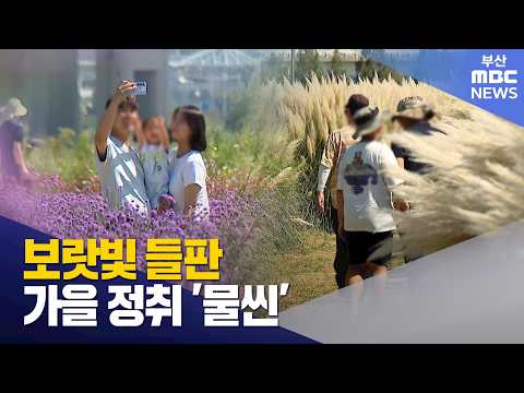 가을 정취 '물씬' (2026-09-<strong>13</strong>,일/뉴스데스크/부산MBC)