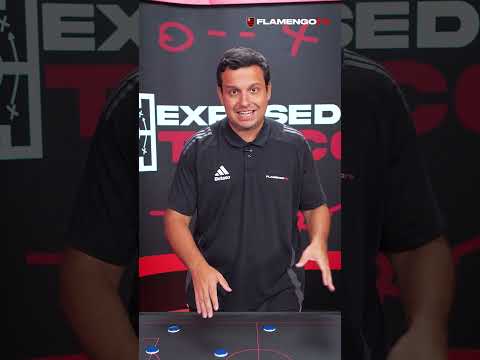 image para ilustrar o artigo