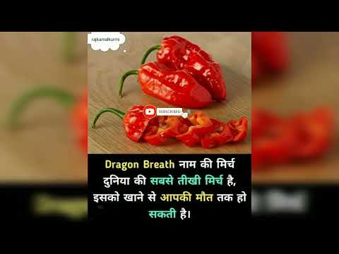 ☠dangerous chilli 🌶#facts #world #dangerous #chilli #shorts #death