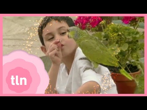 Rayito de luz: Un cuento donde el amor es más grandes que cualquier problema | Inicio – Tlnovelas