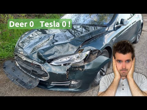 Oh s**t, my poor Tesla Model S !