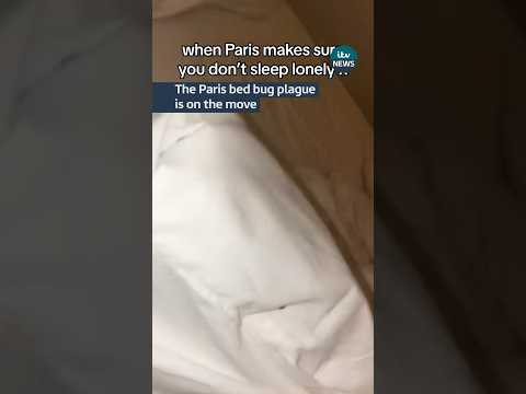 Where are Paris’ bed bugs going next #itvnews #news #paris #bedbugs