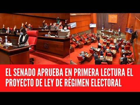 EL SENADO APRUEBA EN PRIMERA LECTURA EL PROYECTO DE LEY DE RÉGIMEN ELECTORAL