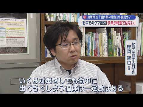 【青森クマ出没】街中への出現は「今年が特別ではない」専門家が指摘する“遭遇フェーズ”の現実（2026年5月19日放送）