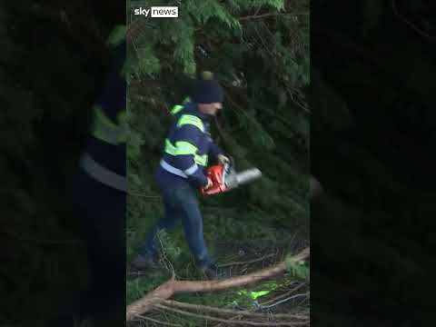 Fallen trees block roads in Galway