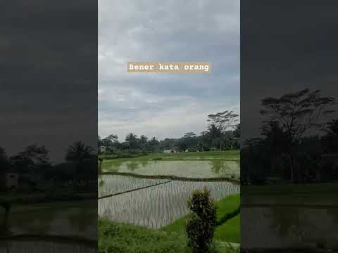 Sakit karena terlalu berharap pada manusia #sakit #php #kesal #pesona #berharap #indah