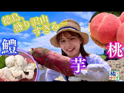 【ご縁に感謝】糖度２０％超え！激甘ピーチに感動！！