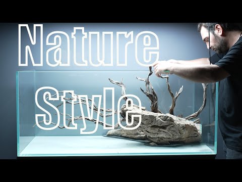 Setting Up A Nature Style Aquascape – Step-by-step Aquarium Guide